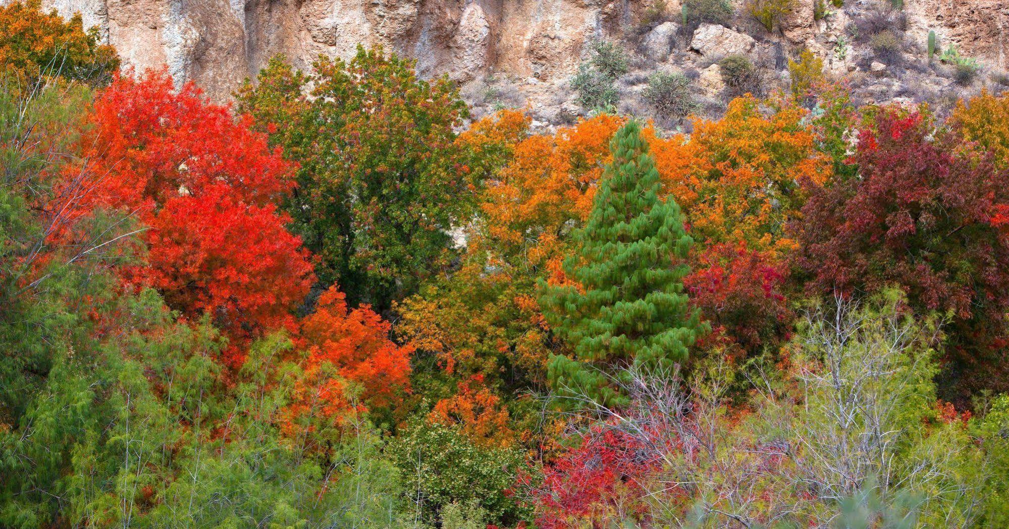 Holiday Inn Express Sedona - Oak Creek By Ihg Экстерьер фото